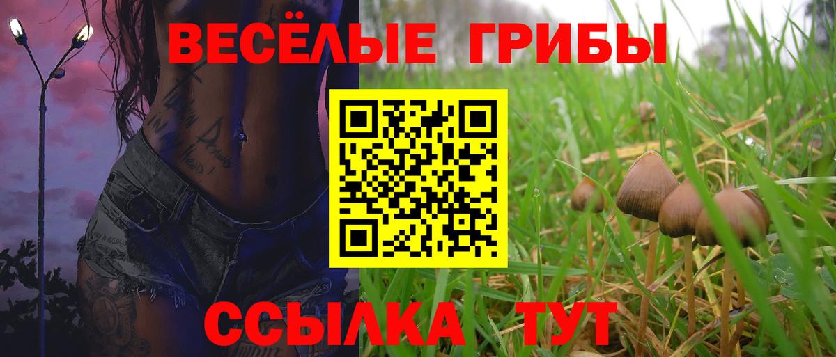 Ленинск-Кузнецкий  Псилоцибиновые грибы Psilocybe  Вход с VPN  дарнет шоп  Галлюциногенные грибы мицелий 
